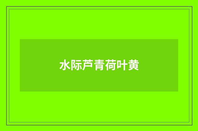 水际芦青荷叶黄
