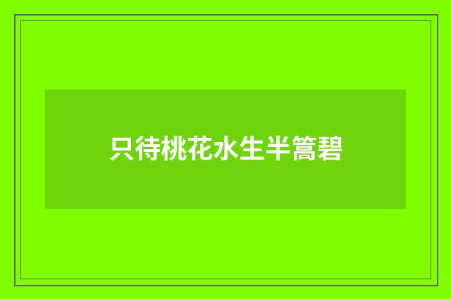 只待桃花水生半篙碧