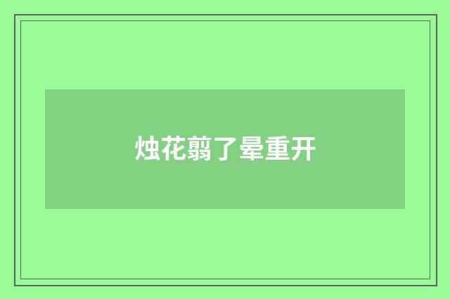 烛花翦了晕重开