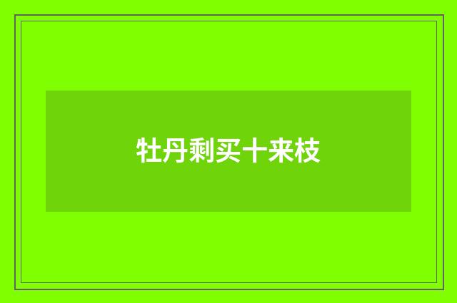 牡丹剩买十来枝