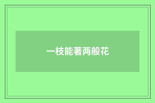 一枝能著两般花