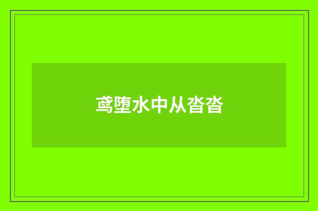 鸢堕水中从沓沓