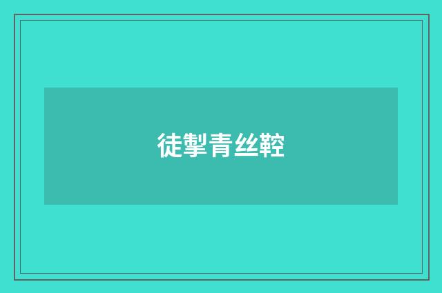 徒掣青丝鞚