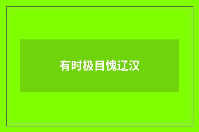 有时极目愧辽汉