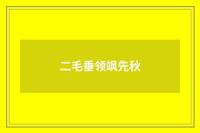 二毛垂领飒先秋