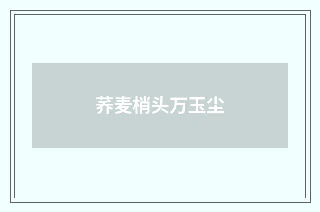 荞麦梢头万玉尘