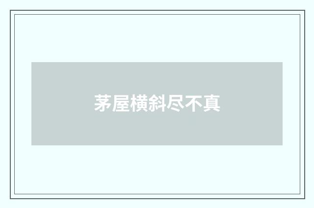茅屋横斜尽不真