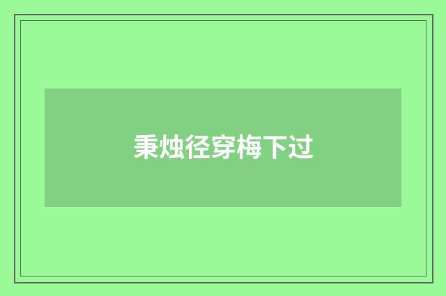 秉烛径穿梅下过