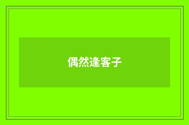 偶然逢客子