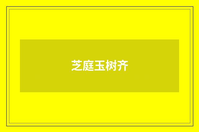 芝庭玉树齐