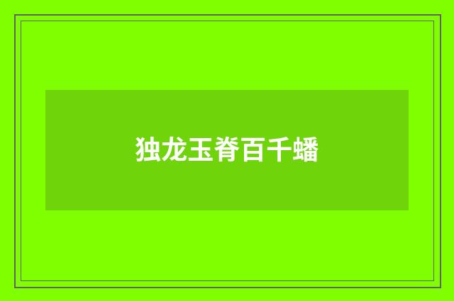独龙玉脊百千蟠