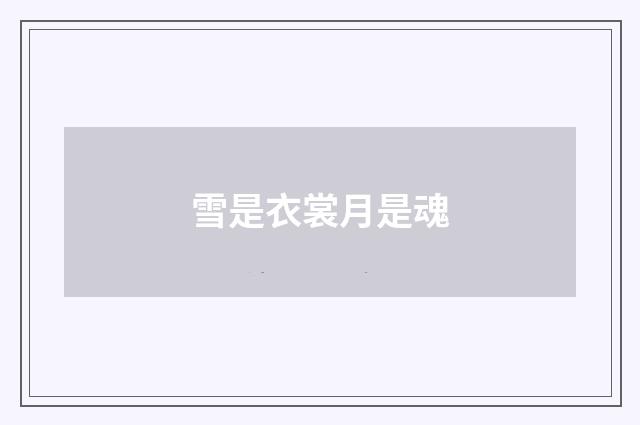 雪是衣裳月是魂