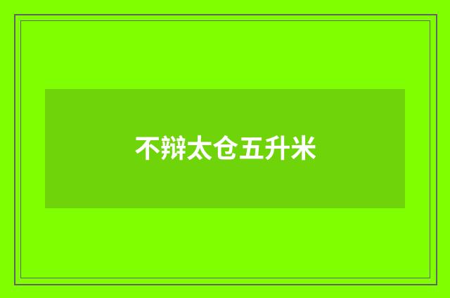 不辩太仓五升米