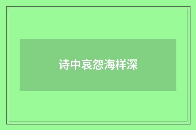诗中哀怨海样深