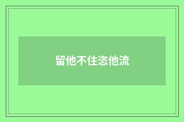 留他不住恣他流