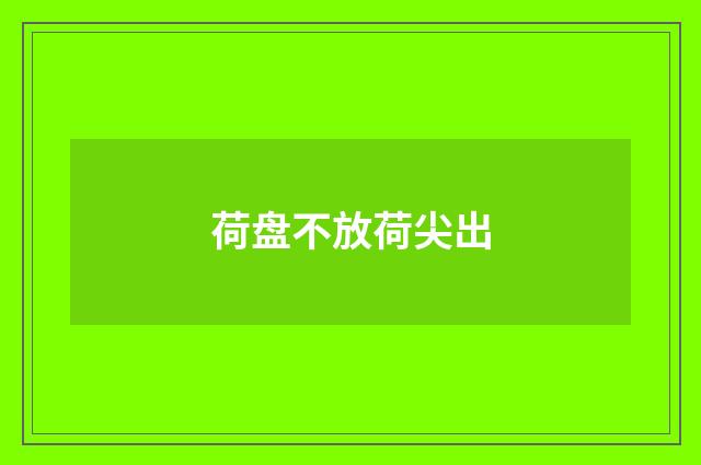 荷盘不放荷尖出