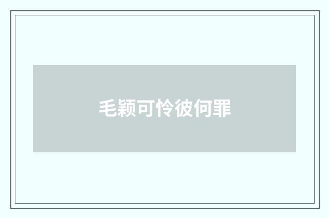 毛颖可怜彼何罪