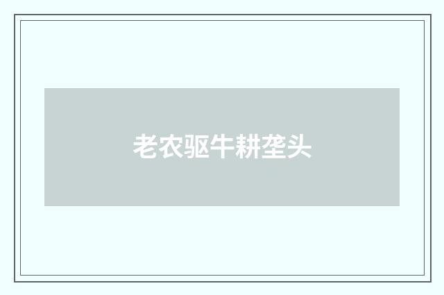 老农驱牛耕垄头