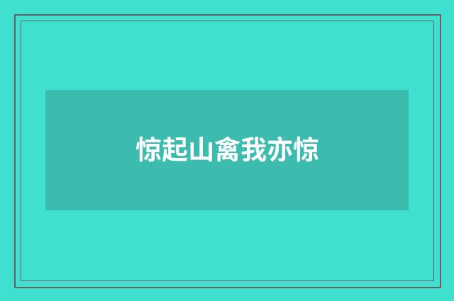 惊起山禽我亦惊