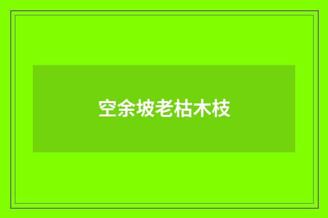 空余坡老枯木枝