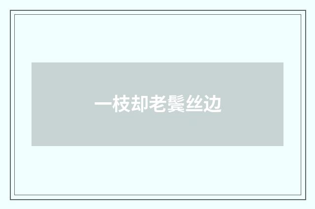 一枝却老鬓丝边