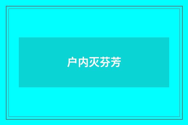 户内灭芬芳