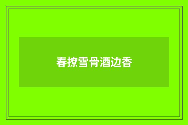 春撩雪骨酒边香