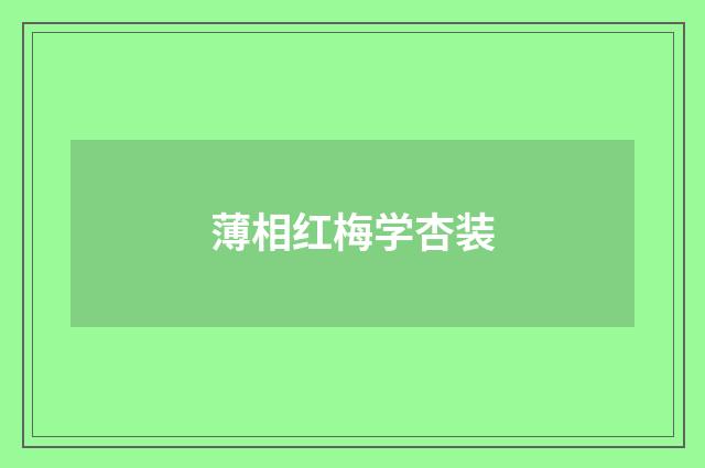 薄相红梅学杏装