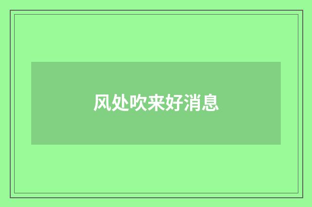 风处吹来好消息