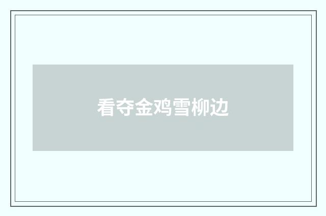 看夺金鸡雪柳边