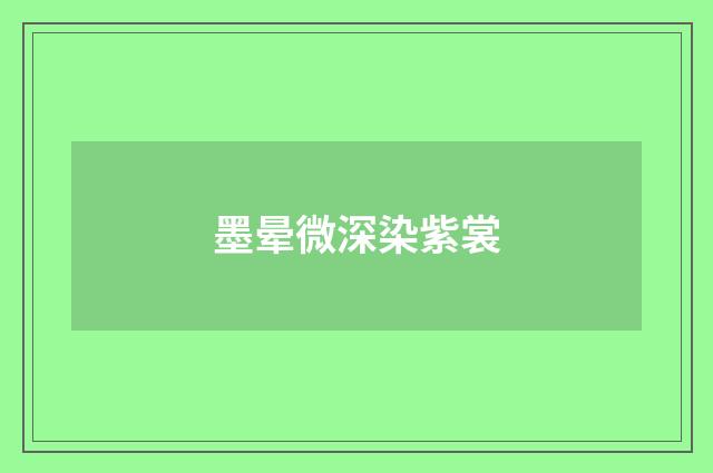墨晕微深染紫裳