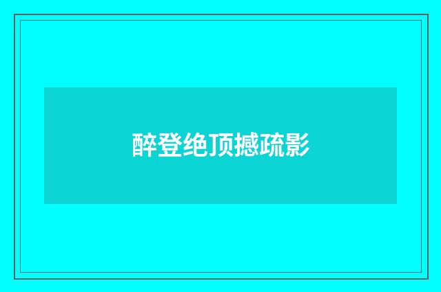 醉登绝顶撼疏影