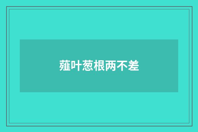 薤叶葱根两不差