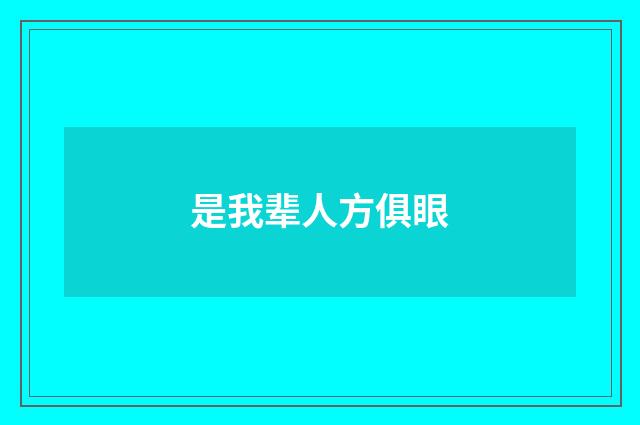 是我辈人方俱眼