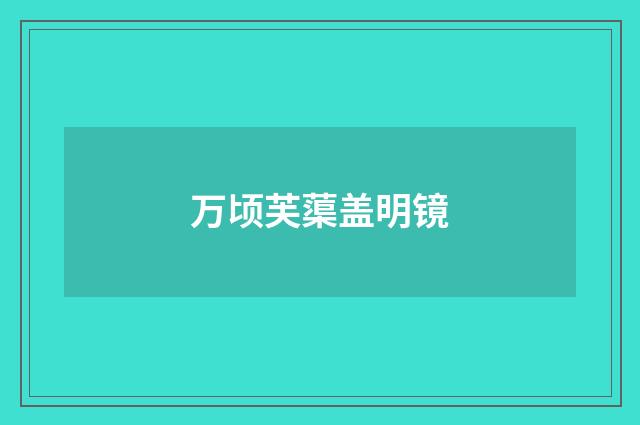 万顷芙蕖盖明镜