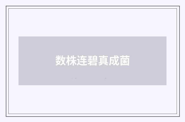 数株连碧真成菌
