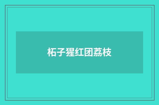 柘子猩红团荔枝