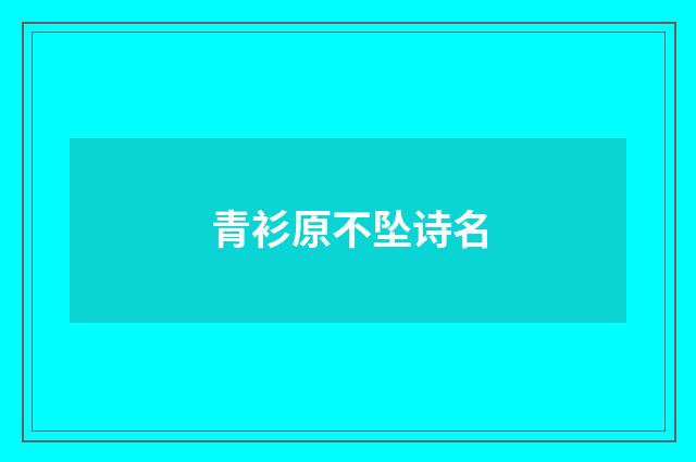 青衫原不坠诗名
