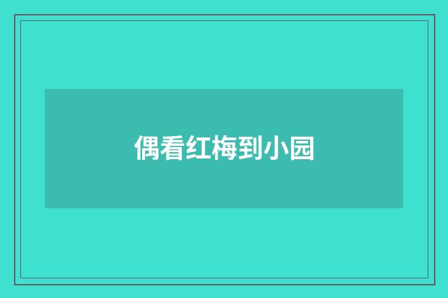 偶看红梅到小园