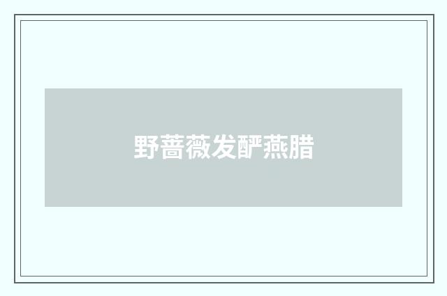 野蔷薇发酽燕腊