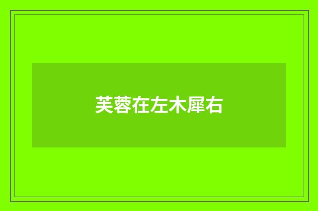 芙蓉在左木犀右
