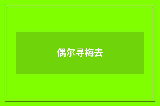 偶尔寻梅去
