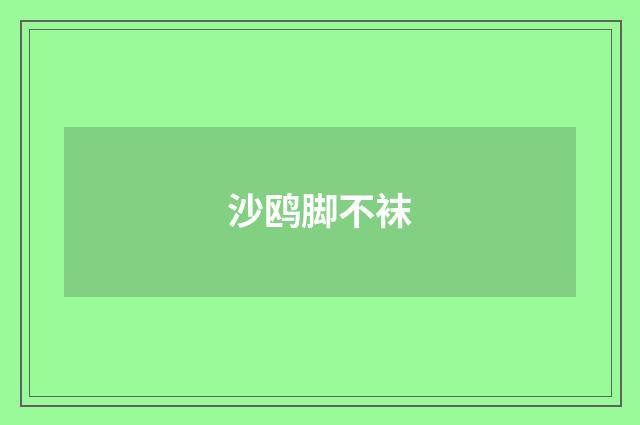 沙鸥脚不袜