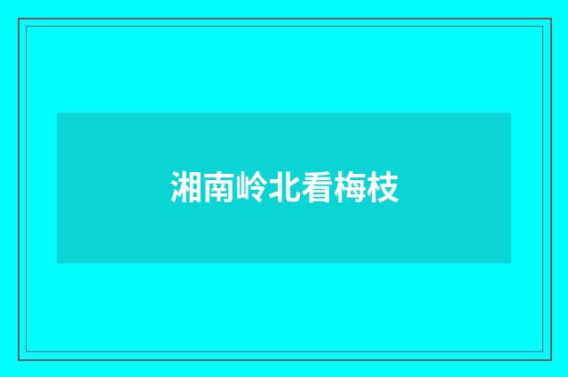 湘南岭北看梅枝