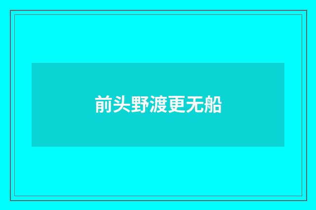 前头野渡更无船