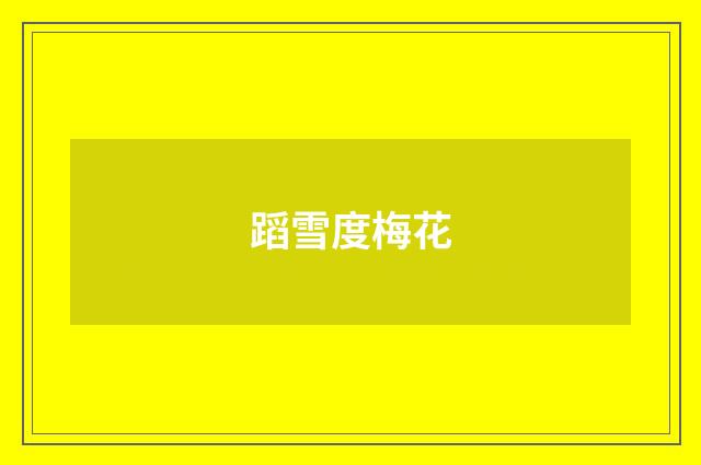 蹈雪度梅花