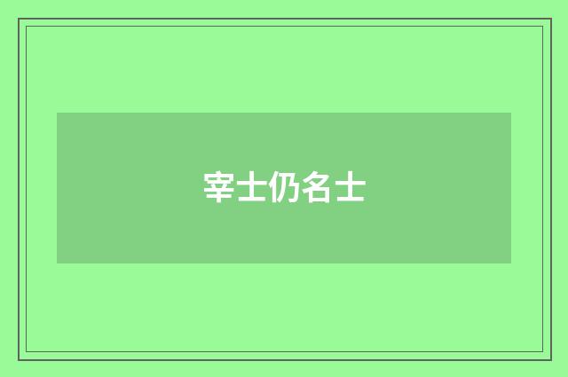 宰士仍名士