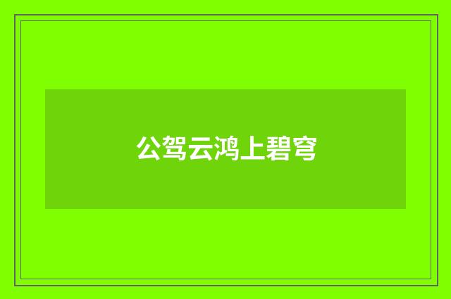 公驾云鸿上碧穹