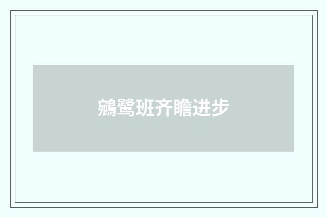 鵷鹭班齐瞻进步
