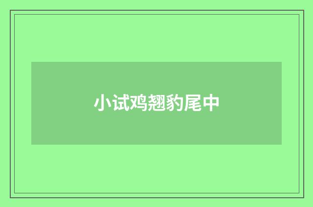 小试鸡翘豹尾中
